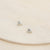 Seashell Stud Earrings - Sterling Silver - Camillette