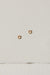 Amalgame Stud Earrings